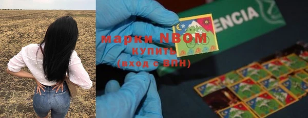 jwh Новозыбков