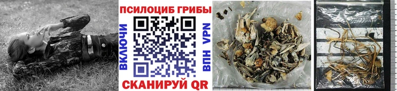 даркнет сайт  Лысково  Псилоцибиновые грибы мухоморы 